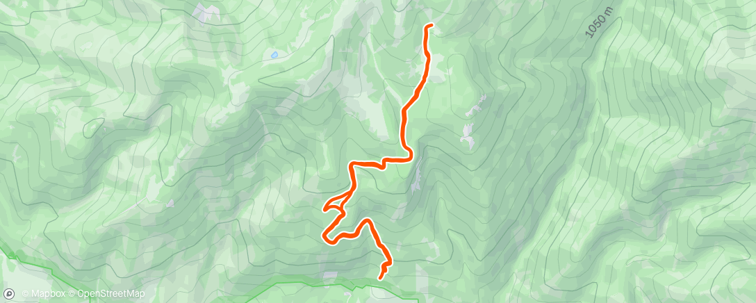 Map of the activity, Afternoon Run