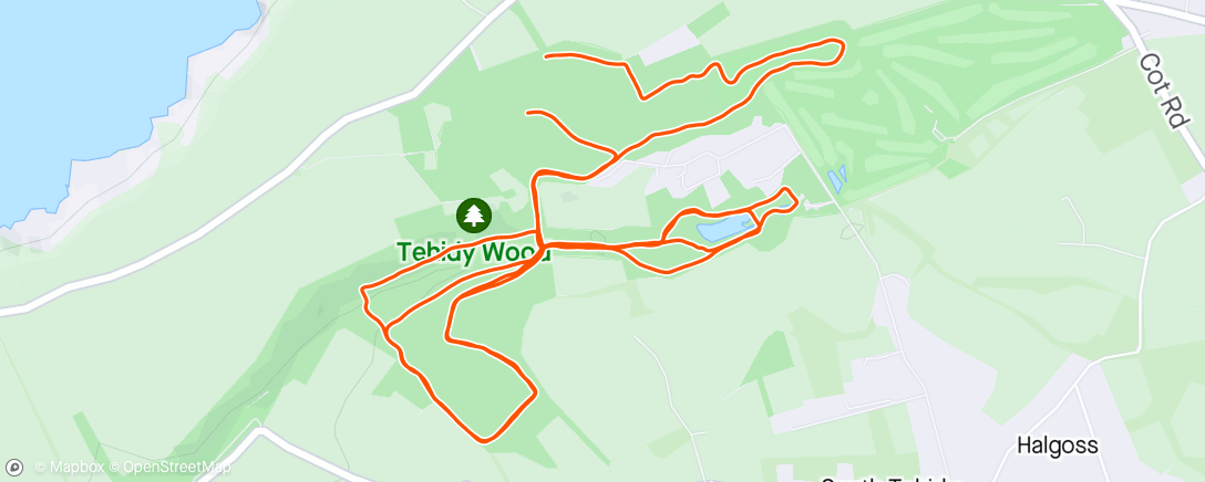Map of the activity, Nice little run around the woods with John 🏃‍♂️