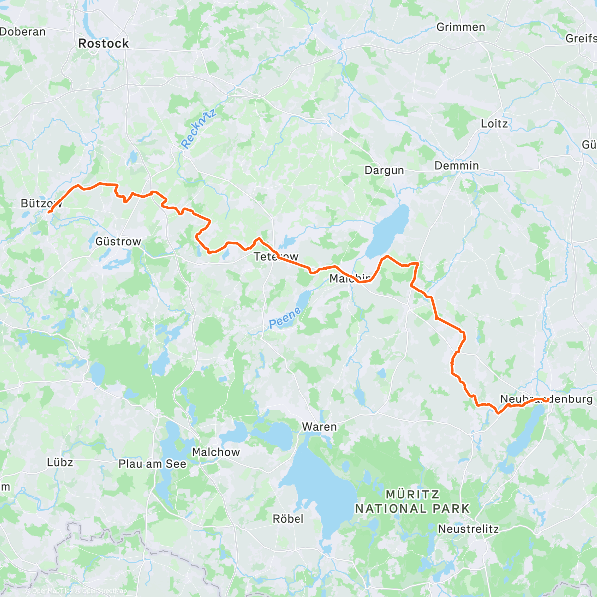 Карта физической активности (Faultier-Festive)