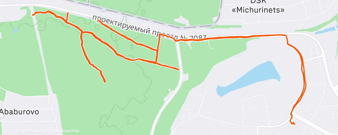 Map of the activity, Трейлраннинг (день)