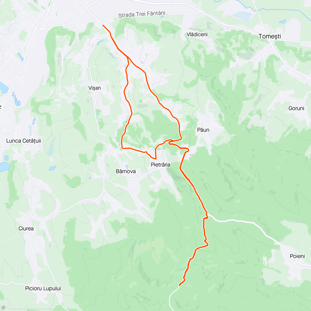 Map of the activity, spre Dobrovăț
