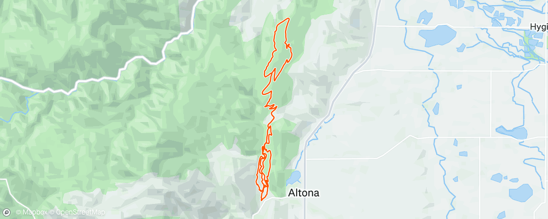 Карта физической активности (Morning Trail Run)