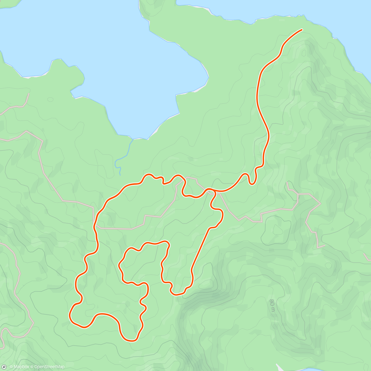 Map of the activity, Zwift - L1