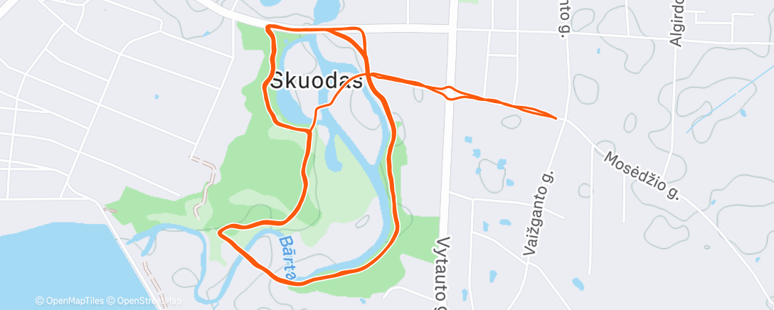 Карта физической активности (Evening Run)