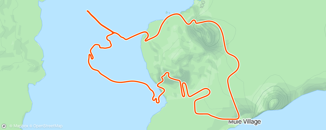 Map of the activity, Zwift - MTB Fitness Intervals - M1 W1 in Watopia
