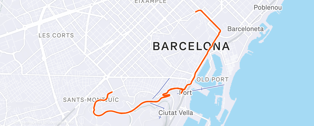Mapa de la actividad (Monday Evening Run)