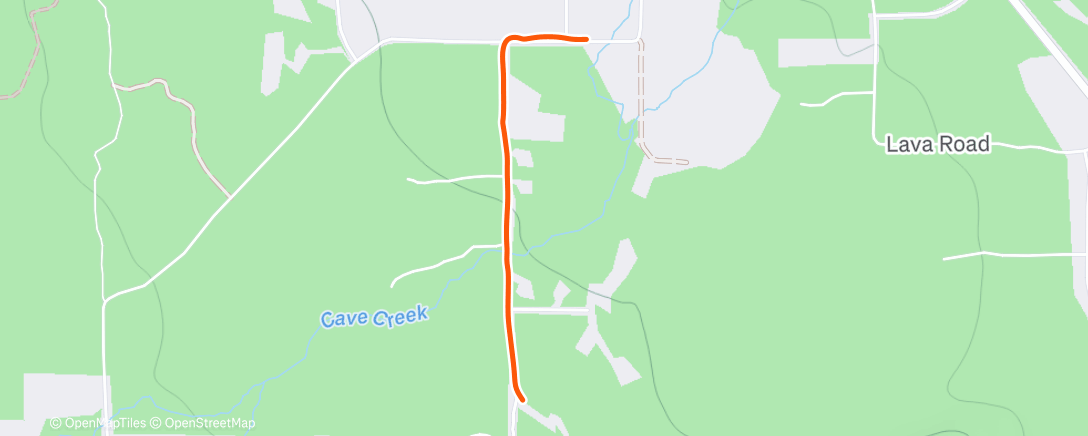 Map of the activity, Morning Run