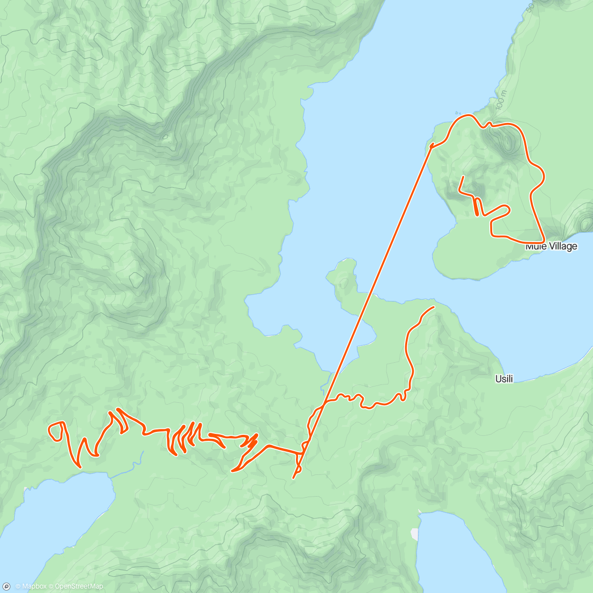 Kaart van de activiteit “Zwift - 2x Alpe”
