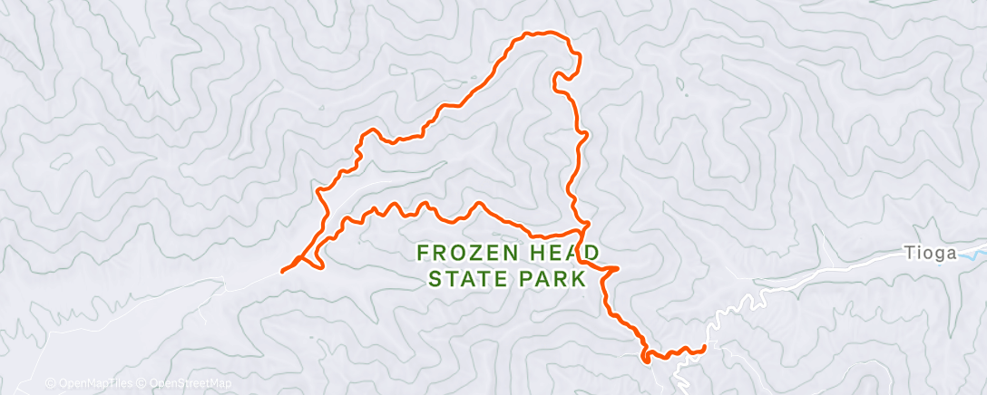 Map of the activity, Morning Run