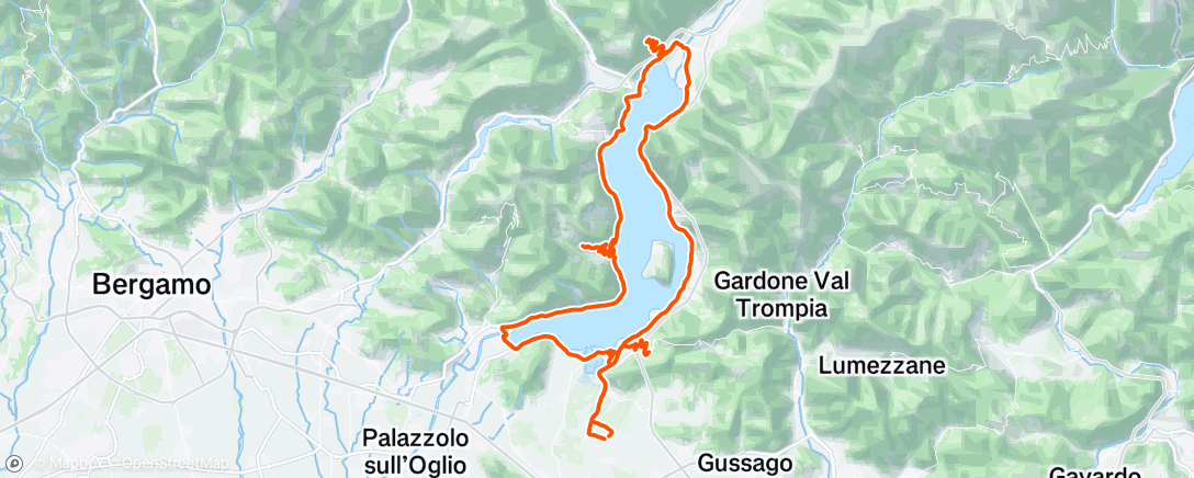 Mapa de la actividad (Ultima del 2025 😎)