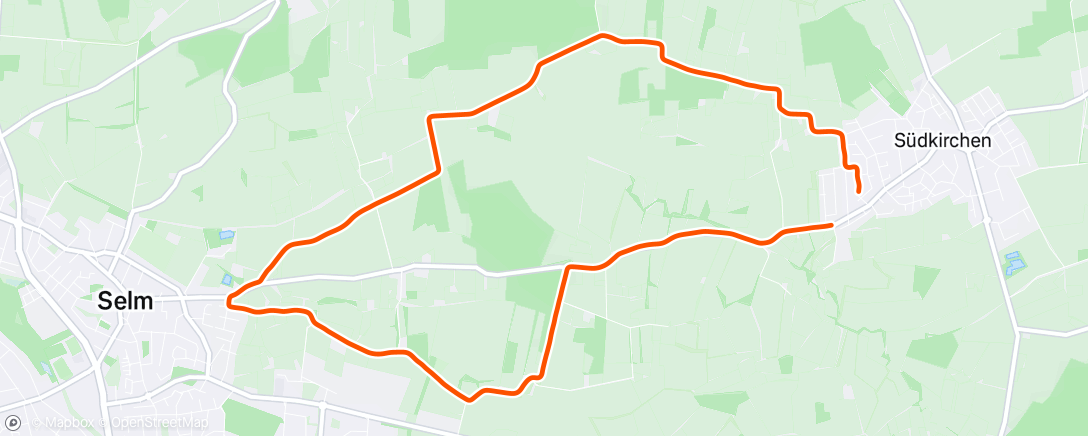 Map of the activity, Recovery w/ 8x100m strides