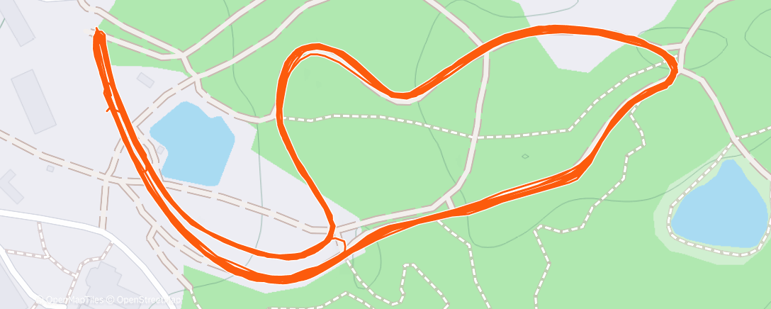 Карта физической активности (Morning Nordic Ski)