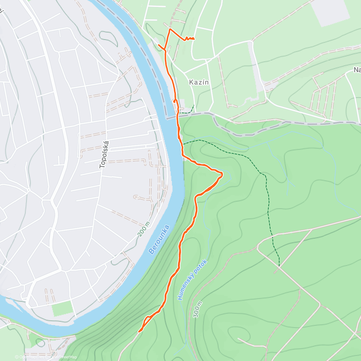 Map of the activity, Winter solstice party