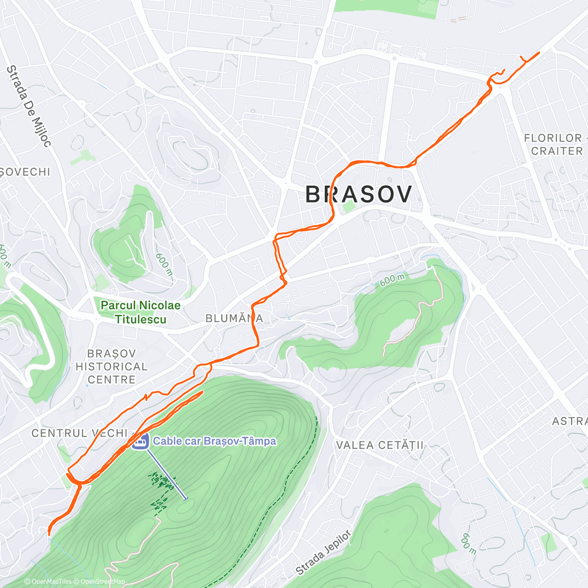 Карта физической активности (Afternoon Run)