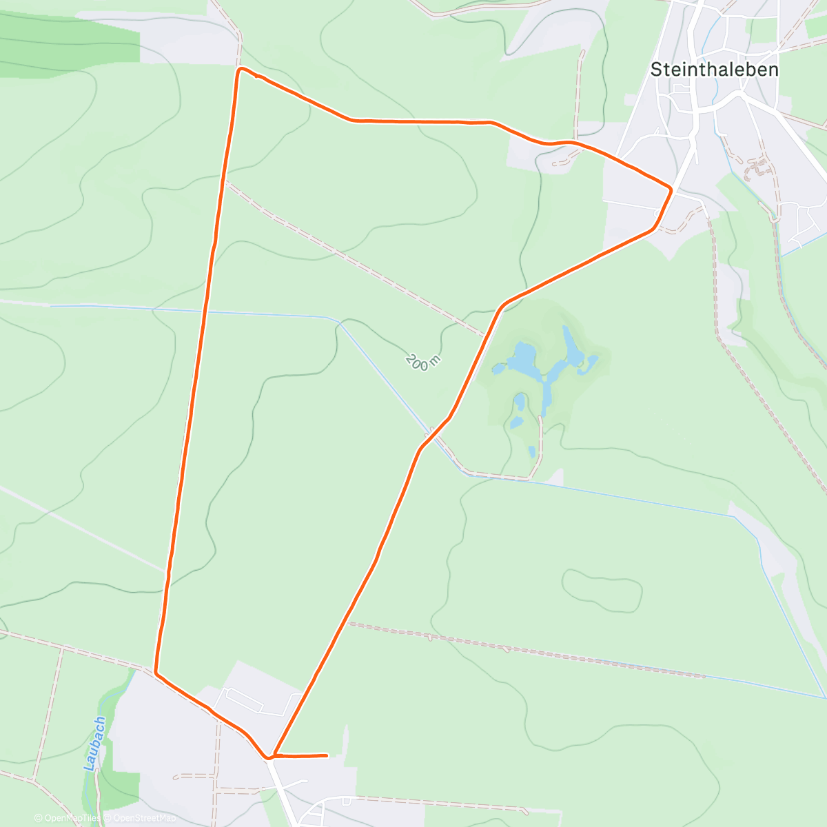 Карта физической активности (11. Traditioneller Stiftung Wadentest Weihnachtslauf 🎄)