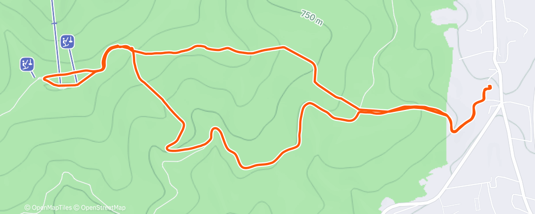 Карта физической активности (Afternoon Walk)