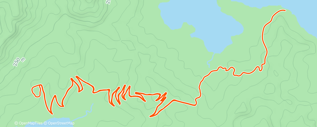 Map of the activity, Zwift