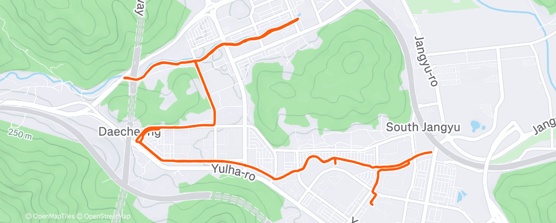 Map of the activity, Evening Run