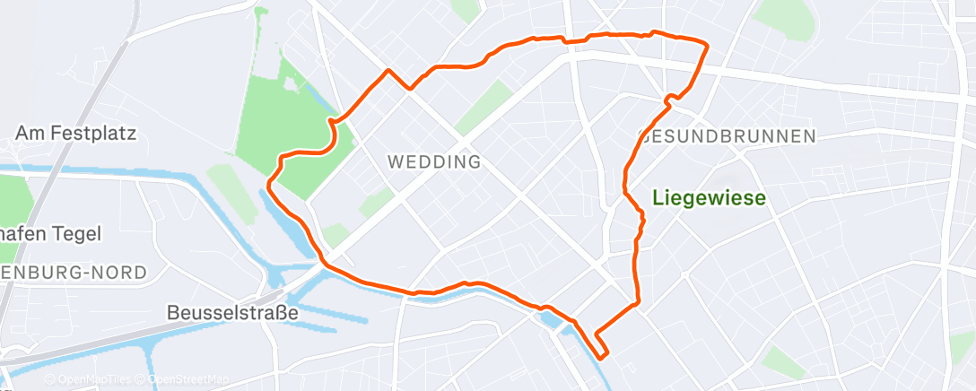 Карта физической активности (Afternoon Run)