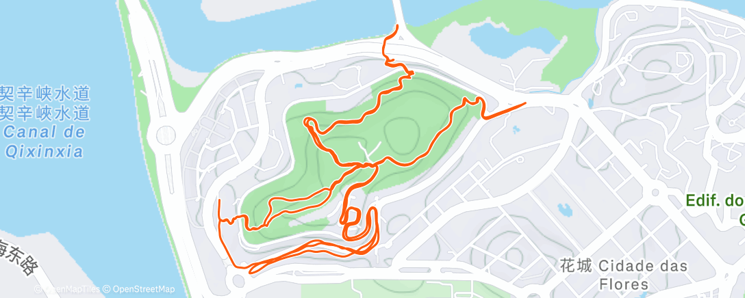 Map of the activity, Morning Trail Run