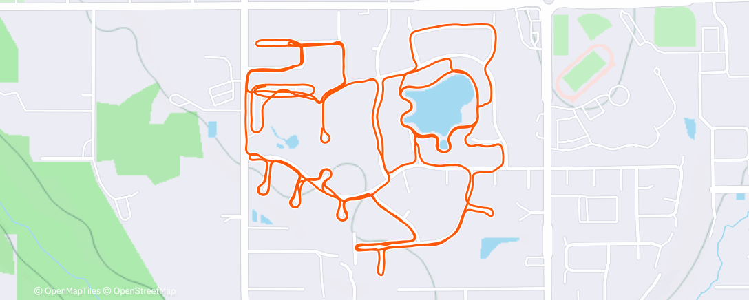 Карта физической активности (Morning Run)