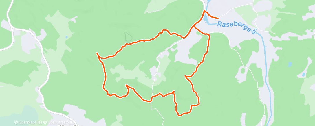 Карта физической активности (LunchO)