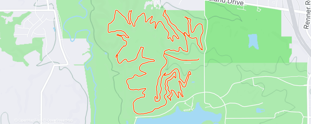 Map of the activity, Kim’s new vest