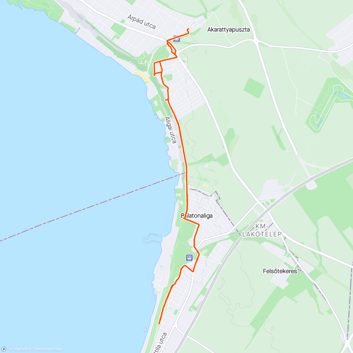 Map of the activity, Balatonakarattya-Balatonvilágos Afternoon Hike