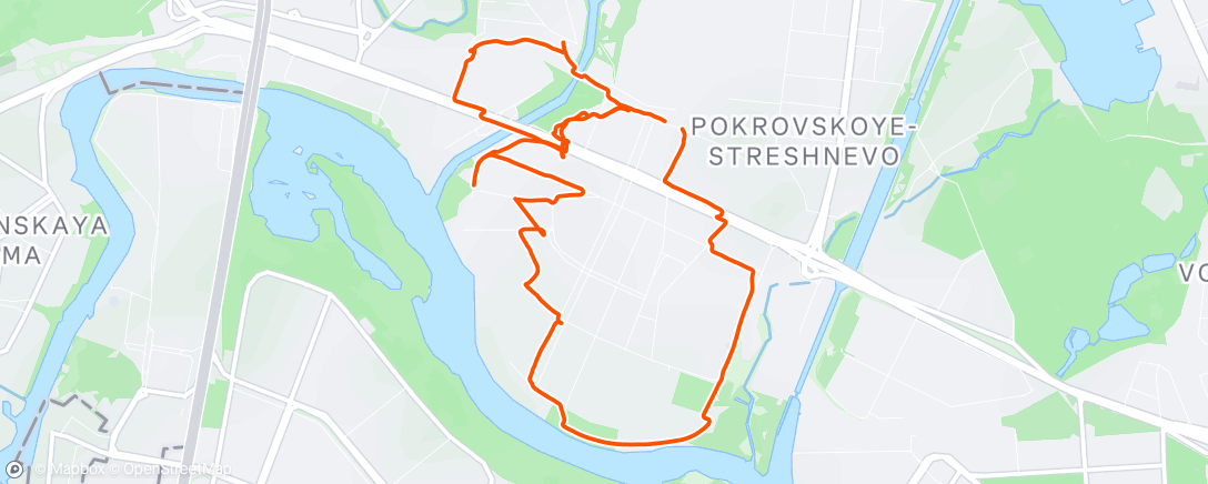 Карта физической активности (Дневной забег)