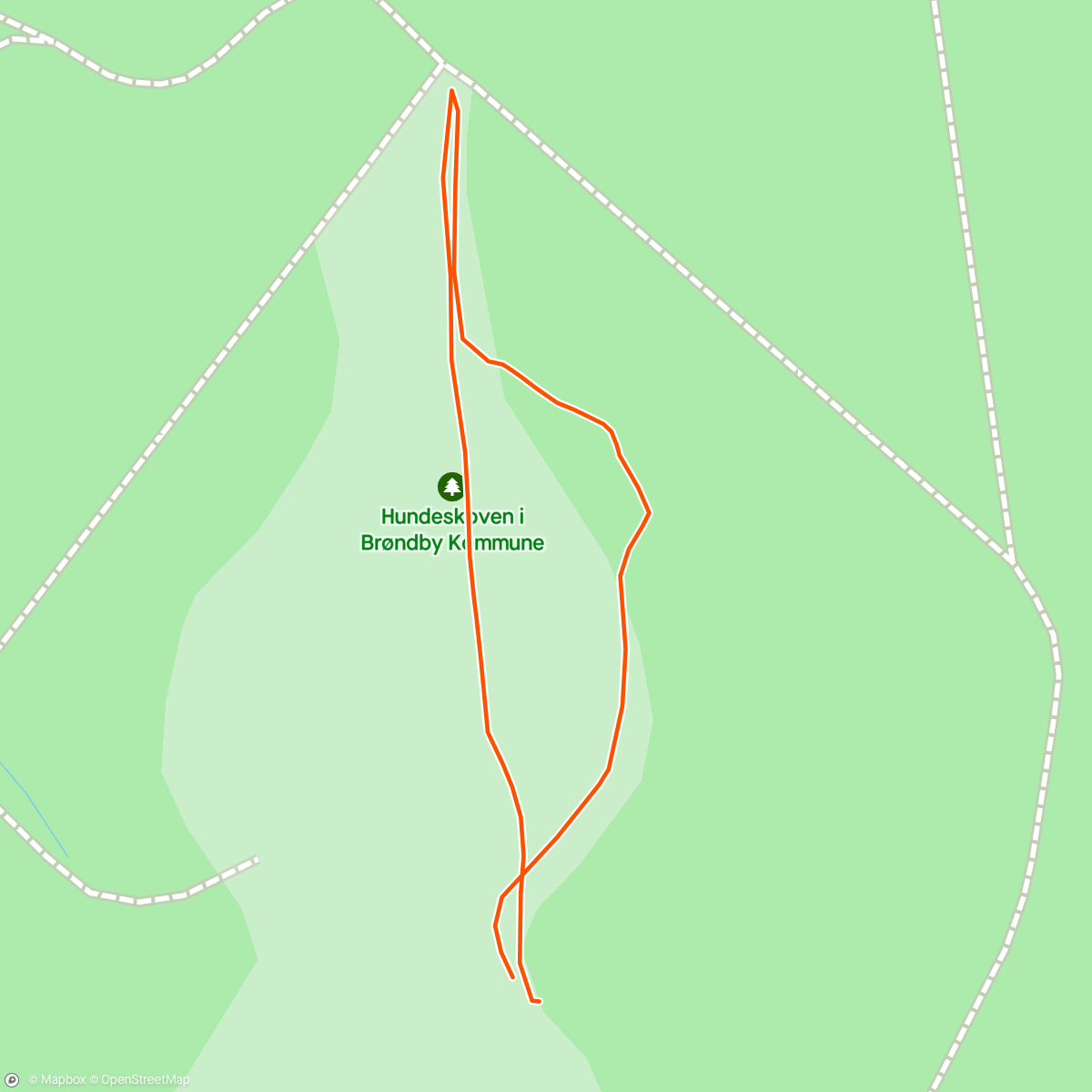Map of the activity, Quickly chasing the dog