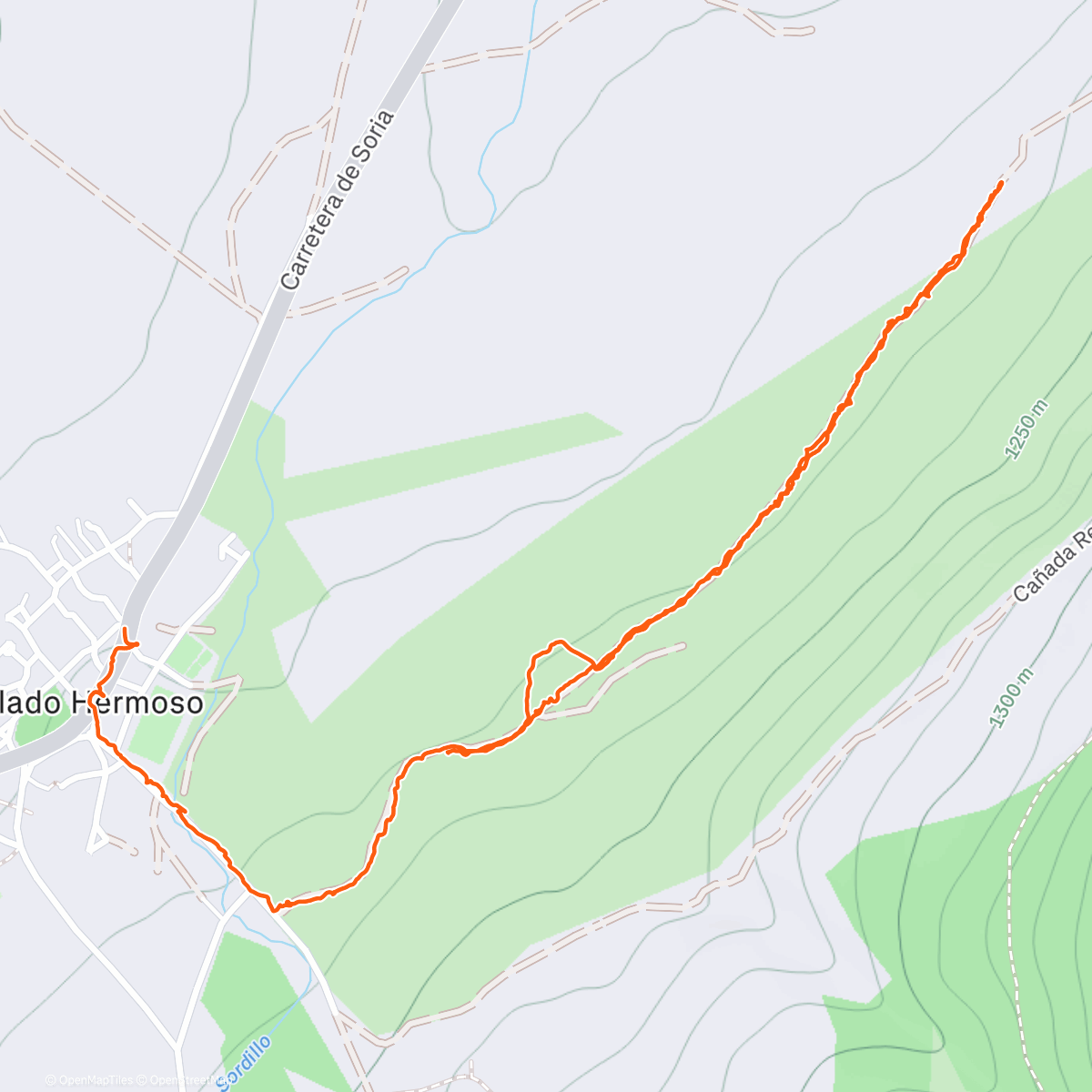 Карта физической активности (Carrera de tarde)