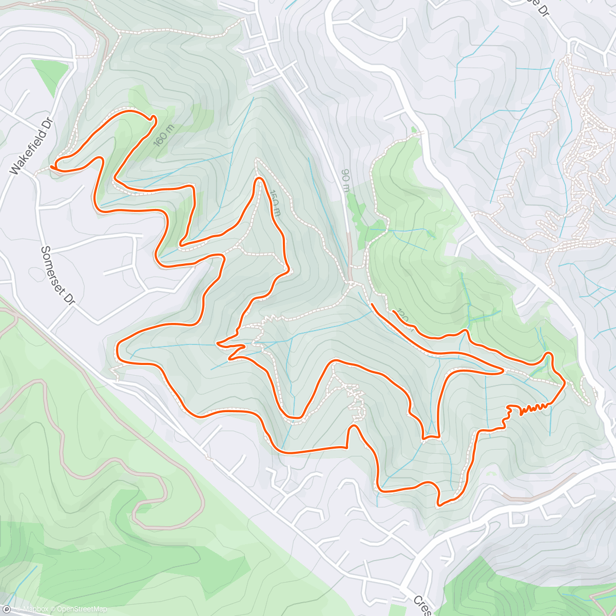Map of the activity, Maiden Dog on the White Whip