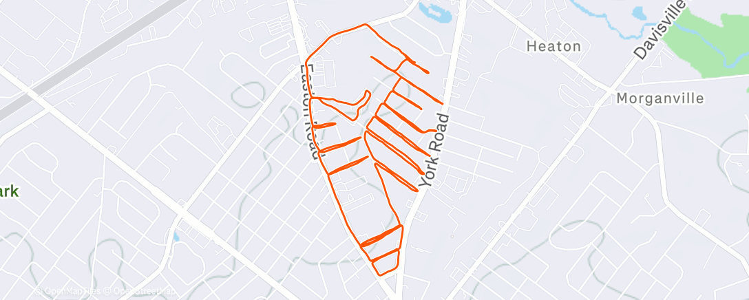 Map of the activity, Morning Run