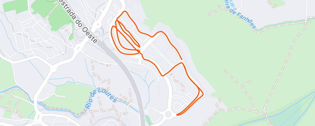 Карта физической активности (Evening Run)