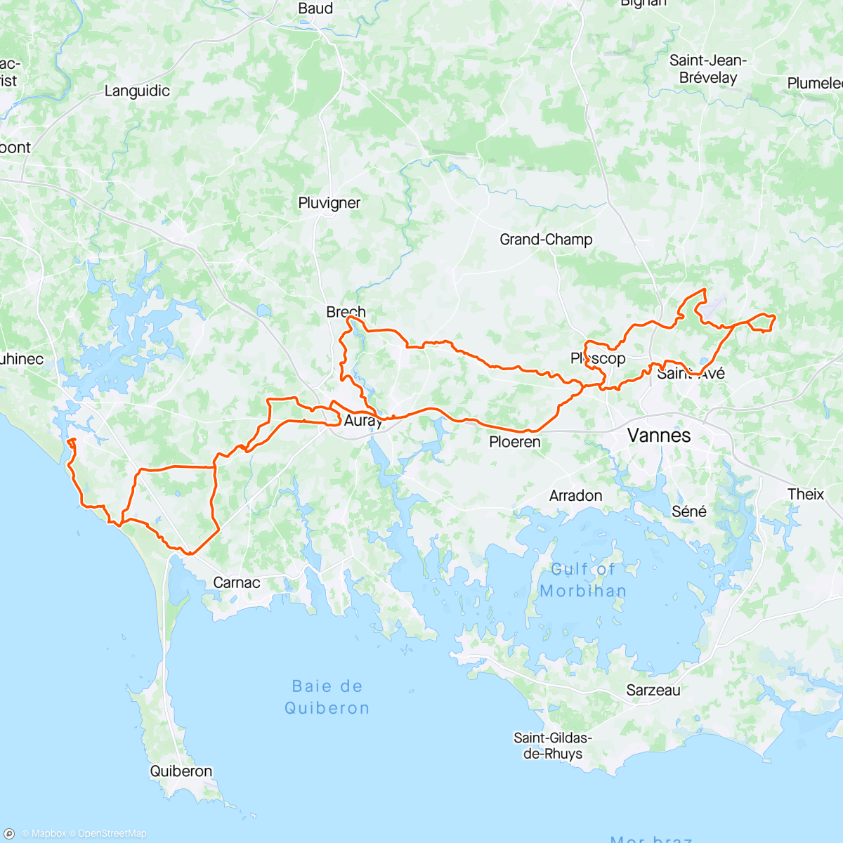 Carte de l'activité Petite balade dominicale. Pour commencer 45 kms avec les Bouquetins de St Avé et ensuite 67 kms avec Auré et enfin solo sur la fin.
