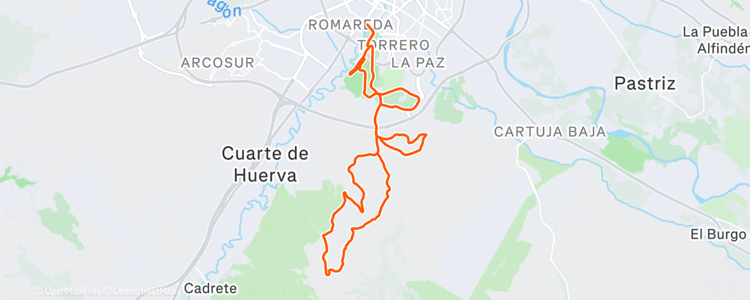 Карта физической активности (La última del año)