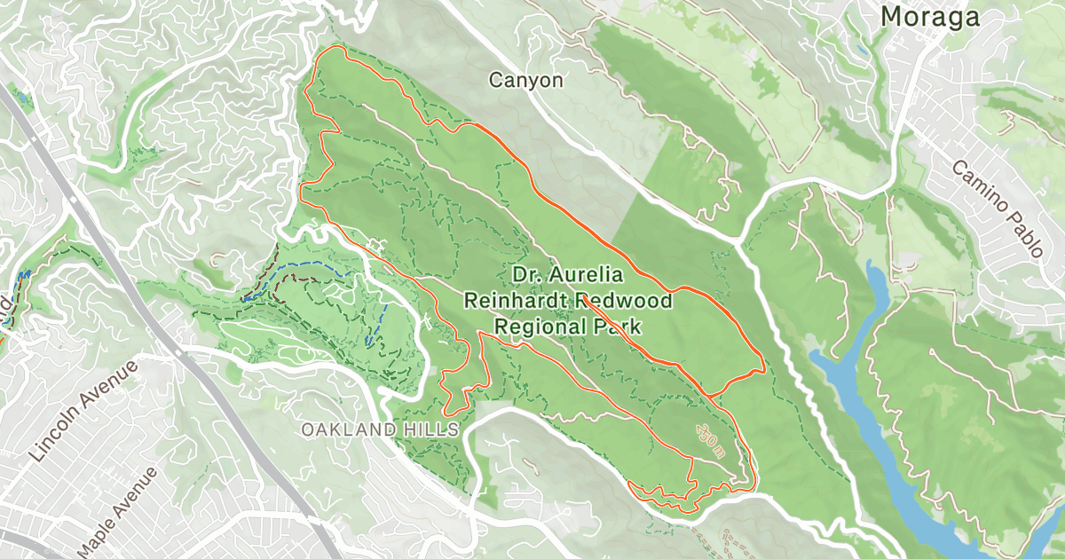 Canyon Meadow 30k/765m D+ | Strava