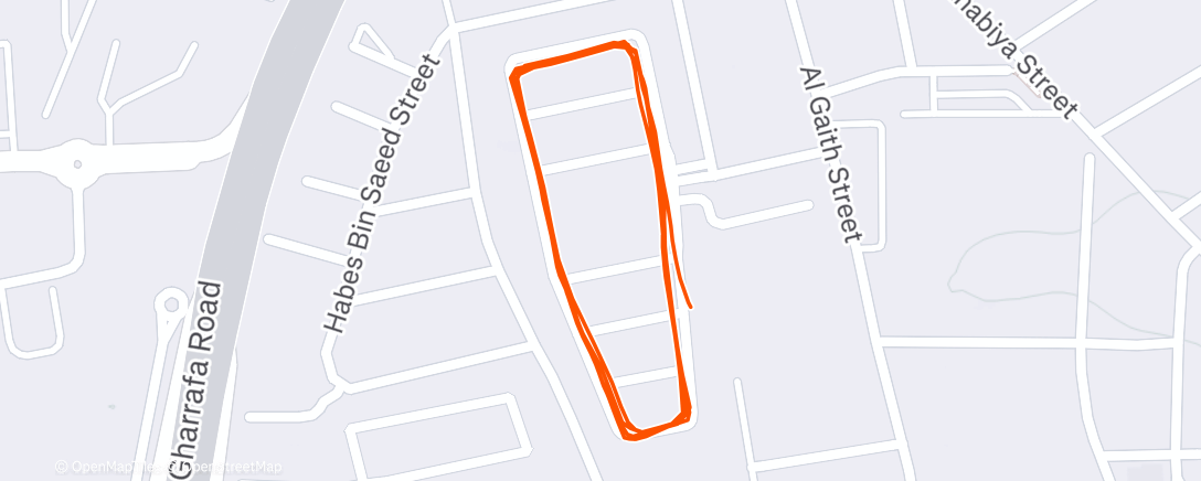 Map of the activity, Morning Run
