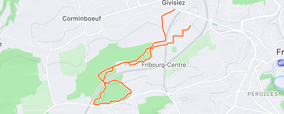 Map of the activity, Frozen Forêt 🌖