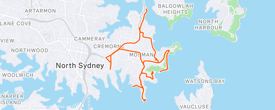 Map of the activity, Morning Ride