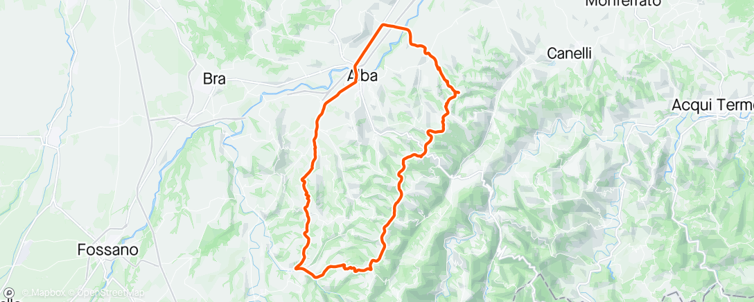 Map of the activity, Bossola 24