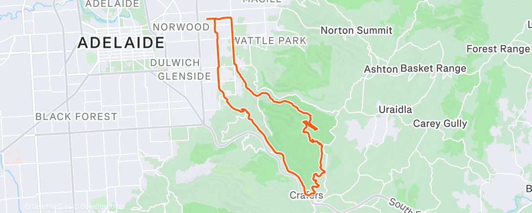 Карта физической активности (Evening Ride)