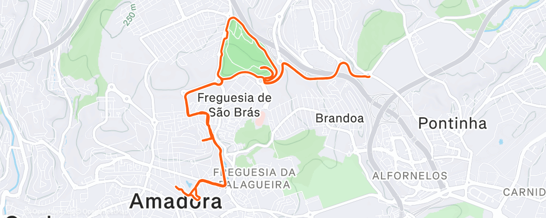 Map of the activity, Morning Run