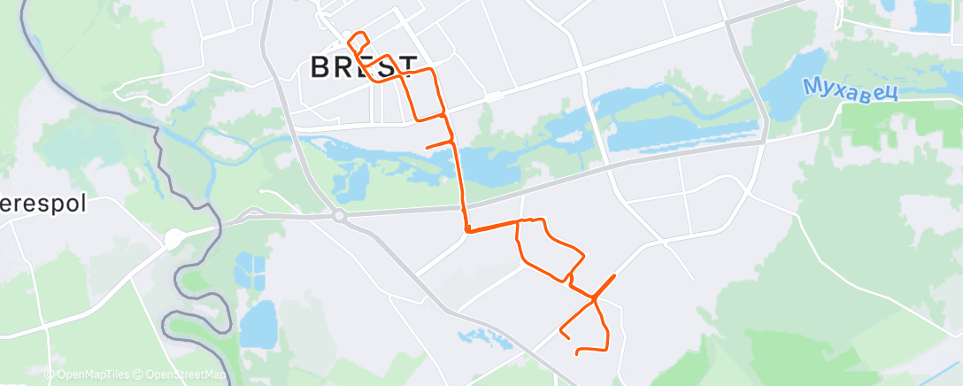 Карта физической активности (Вечерний забег)