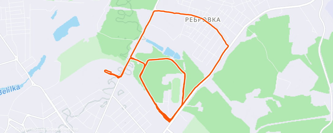 Карта физической активности (Утренний забег)