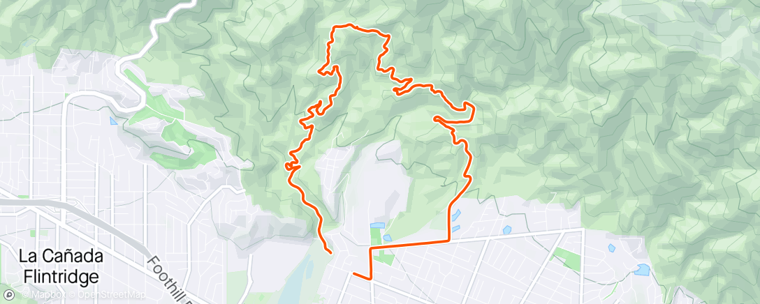 Map of the activity, Brown fern Chaney loop
