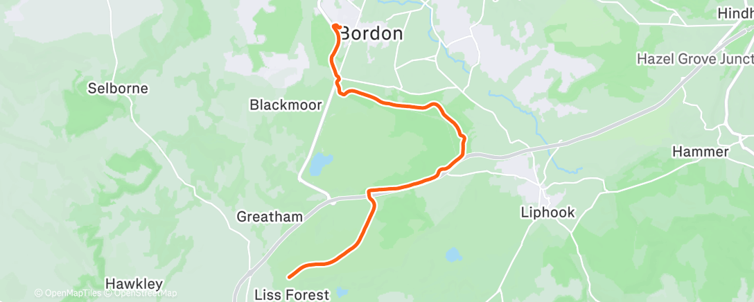 Map of the activity, Home from Liss