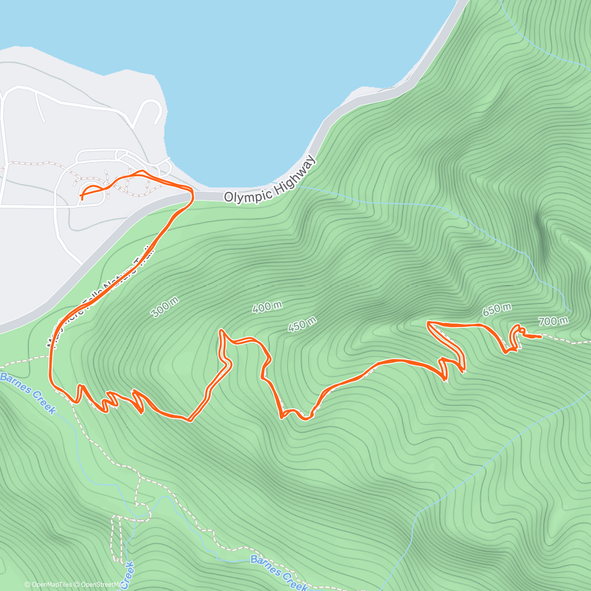 Карта физической активности (Slippery slope ⛷️)