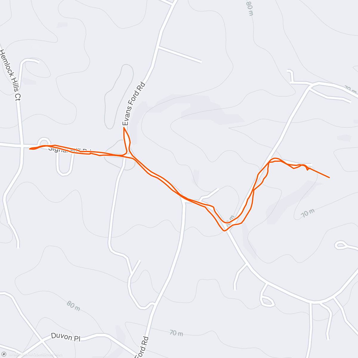 Map of the activity, Home again yay!