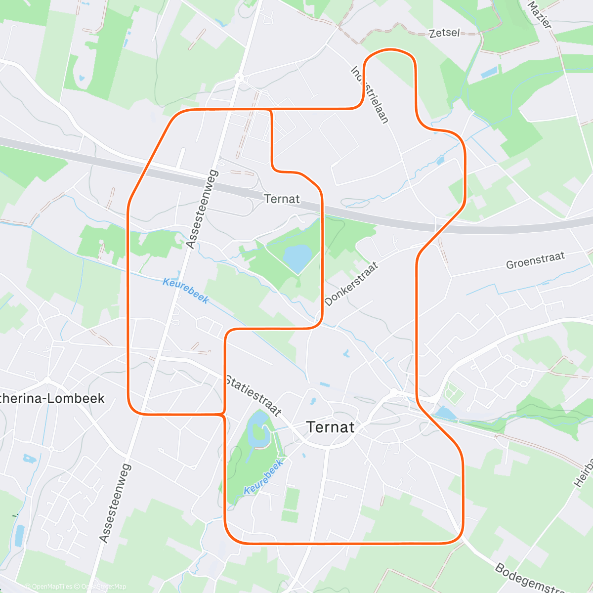 Карта физической активности (MyWhoosh - Brussels Town Square)